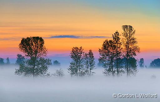 Sunrise Mist_13540-1.jpg - Photographed near Smiths Falls, Ontario, Canada.